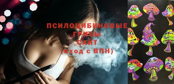 эйфоретик Богородск