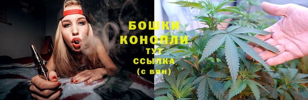 сатива Белоозёрский