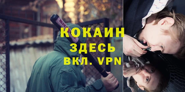 шишки Беломорск